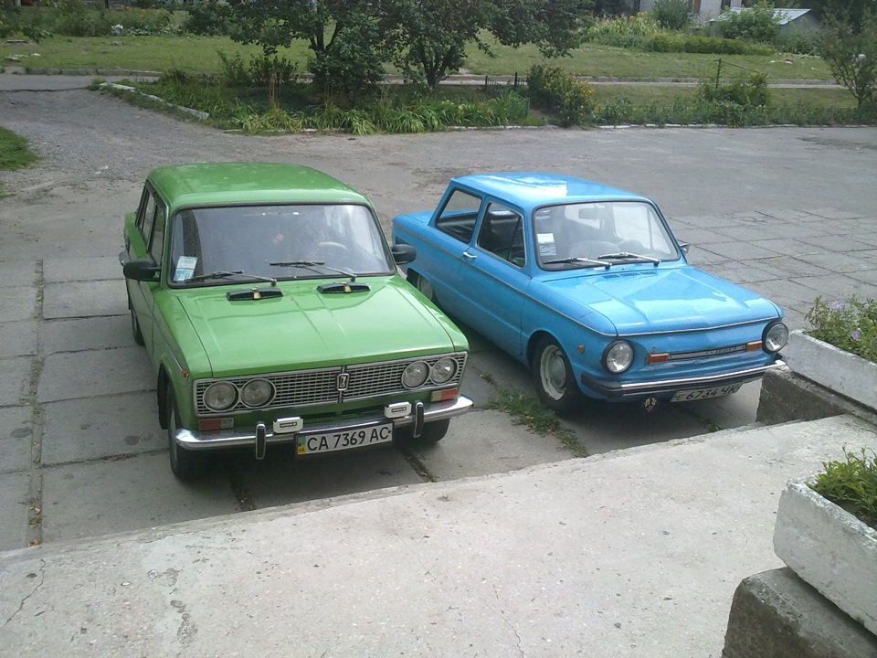Фото із сусідською 06)) і з Нахлібником)) 3