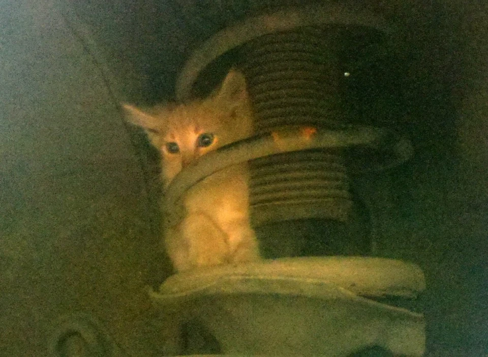 Кузовня ч.1