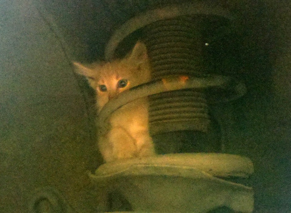 Кузовня ч.1 1