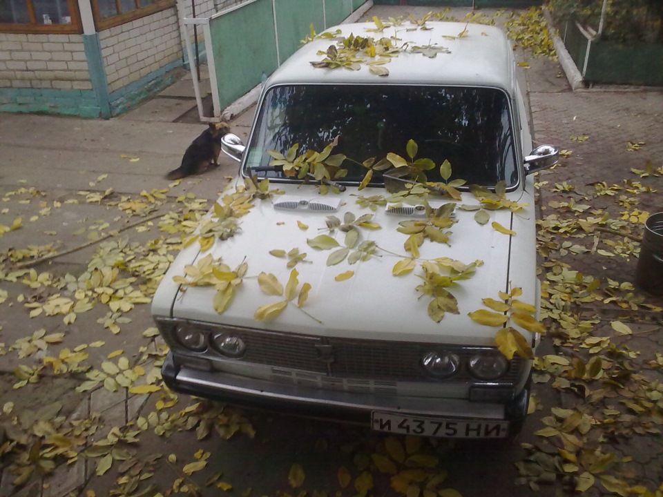 Поїздка в ліс) 3