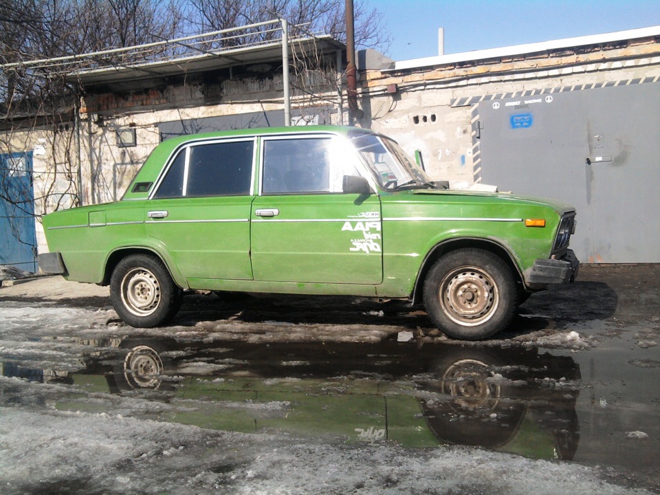 Перший час із насикомим 3