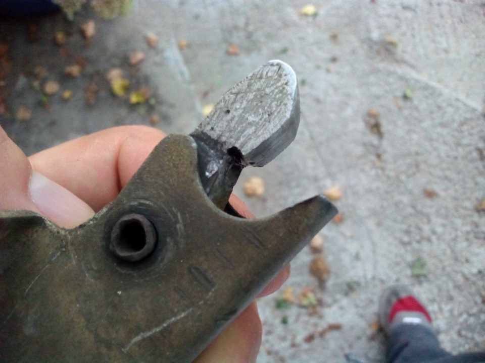 Пригода з багажником 5