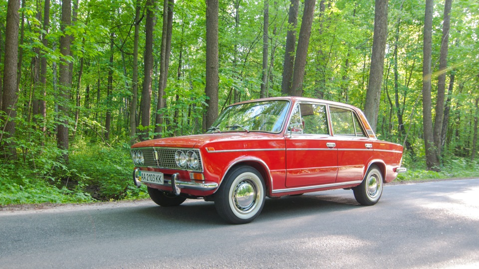 Лісова сесія… 5