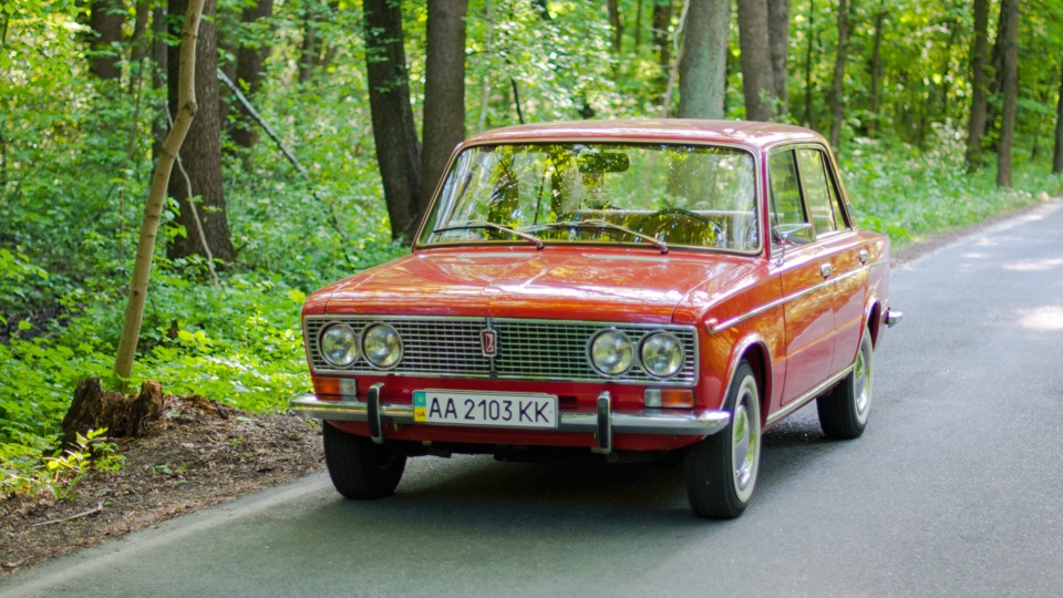 Лісова сесія… 1