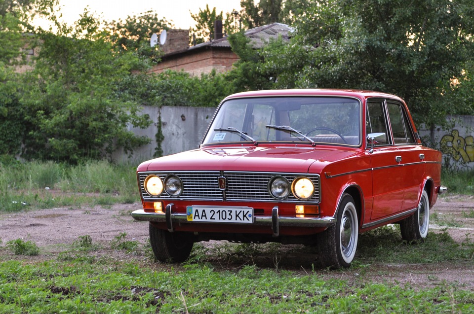 Провідав трієчку. 5