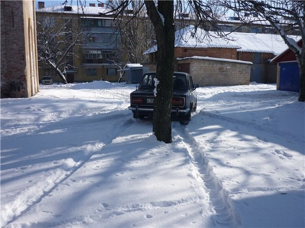 Дерева потрібно об'їжджати з двох сторін одночасно. 2