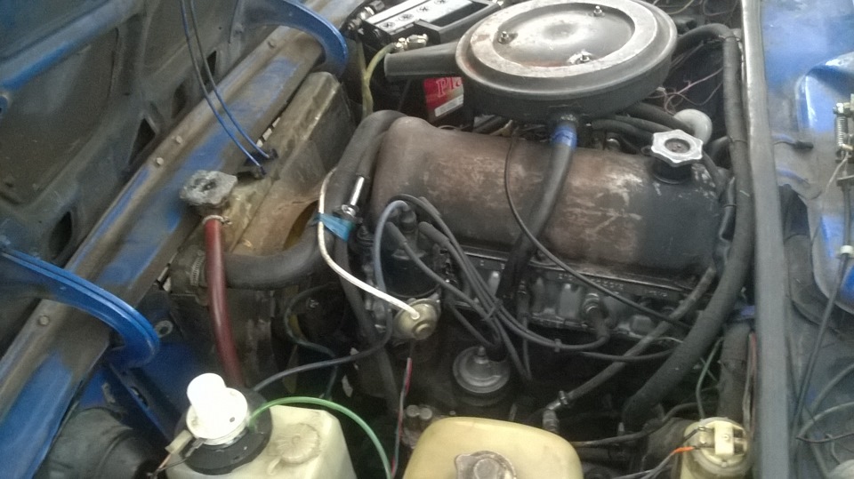 Перші фотографії 5