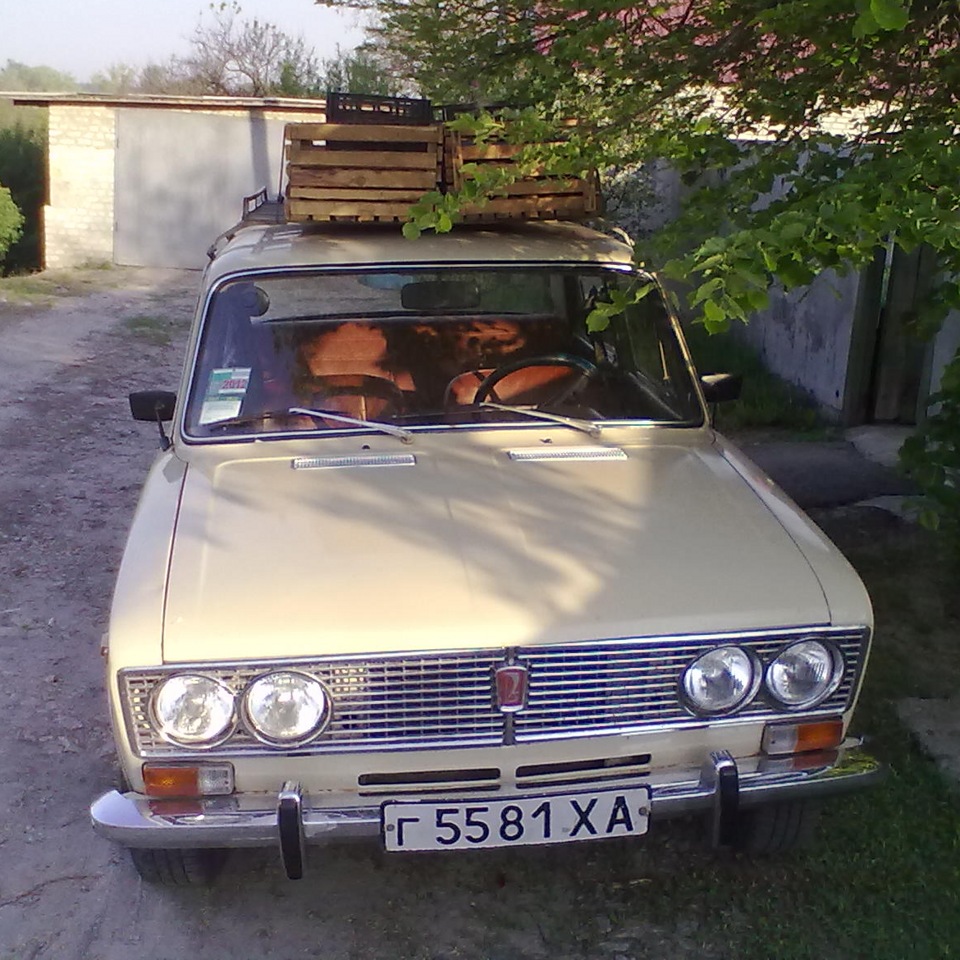 Дача, картопля ... Ні, не чув) 1