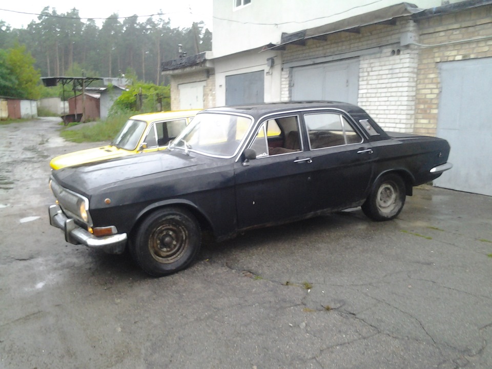 Моя трієчка + газ 2401 3