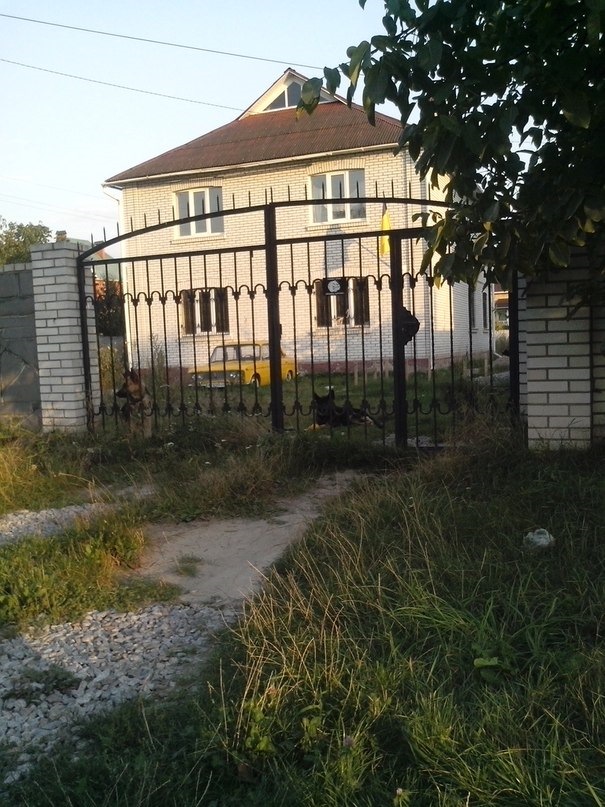 Чекає... 1