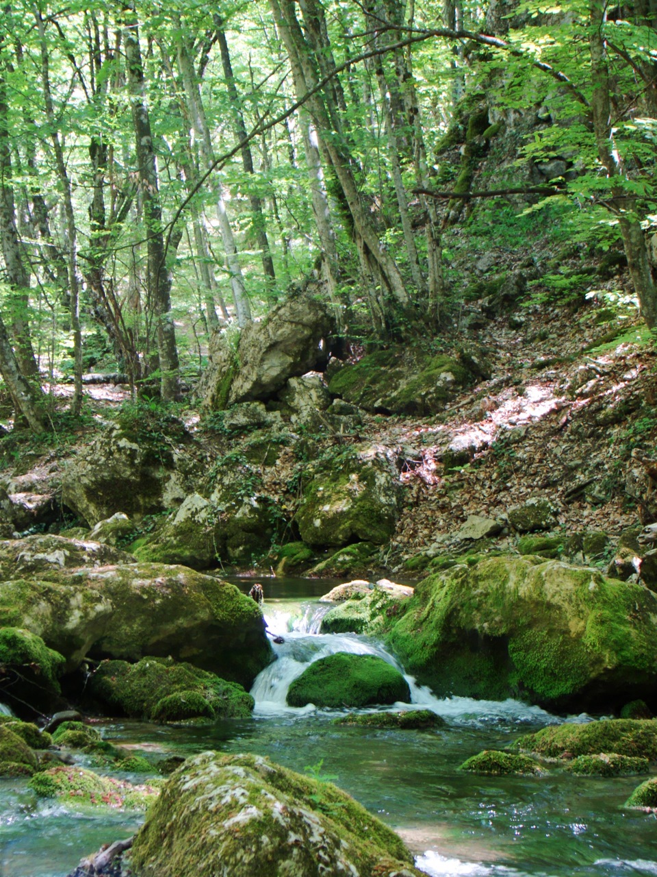 Великий Каньйон Криму. Частина 2. Яблуневий брід. 5