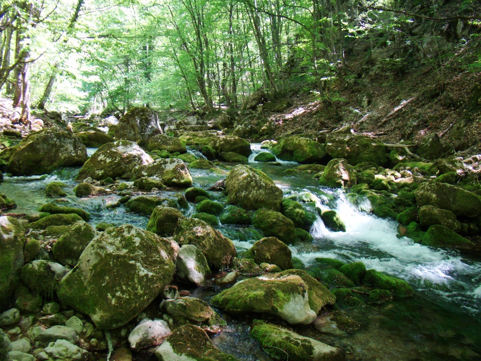 Великий Каньйон Криму. Частина 2. Яблуневий брід. 4