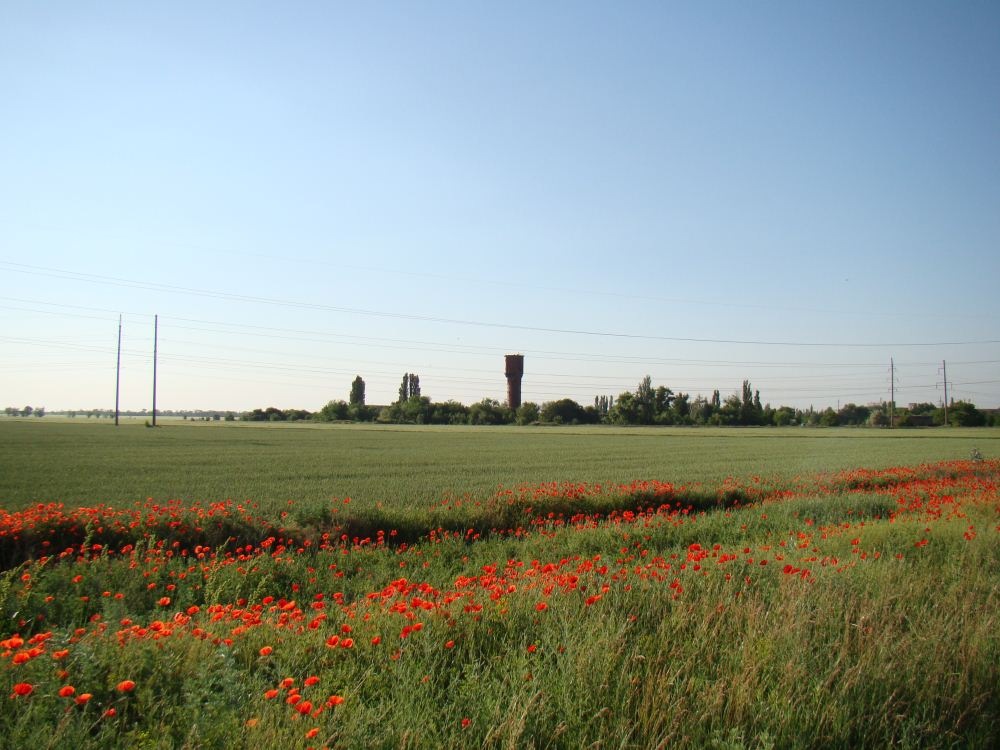 Етюд в червоних тонах 2