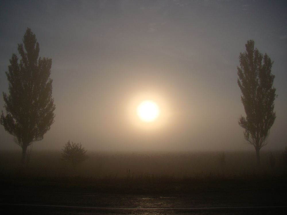 : Утро туманное, утро седое… 1