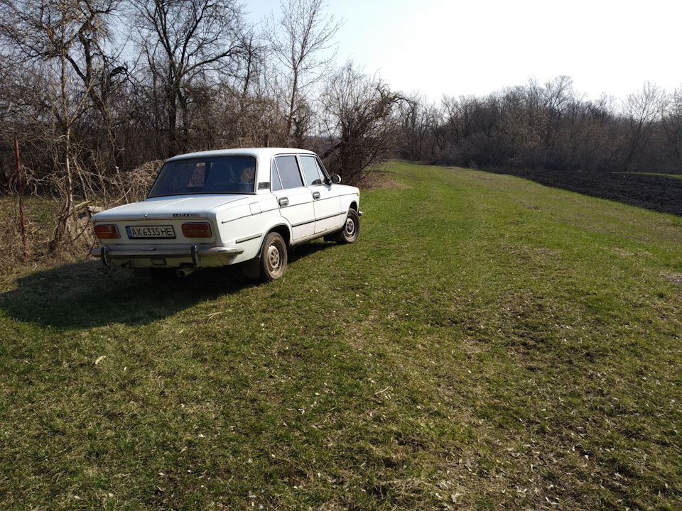 Невеликий фотосет на дачі) 3