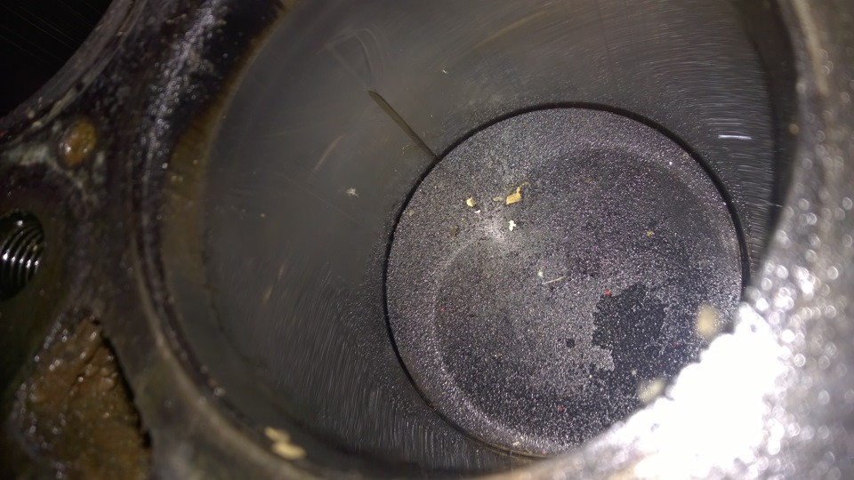 Відкриття показало 5
