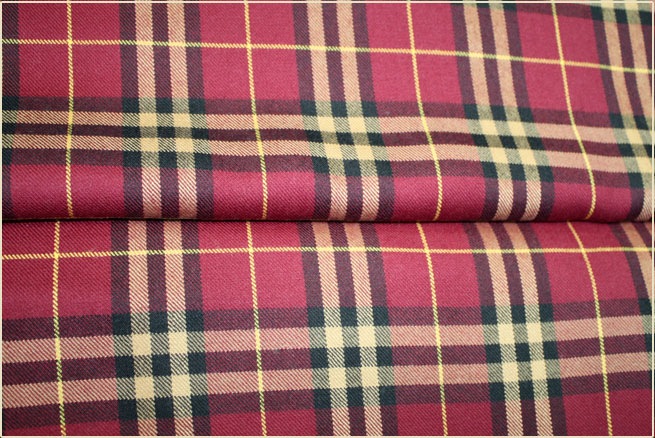 Burberry Style! 1