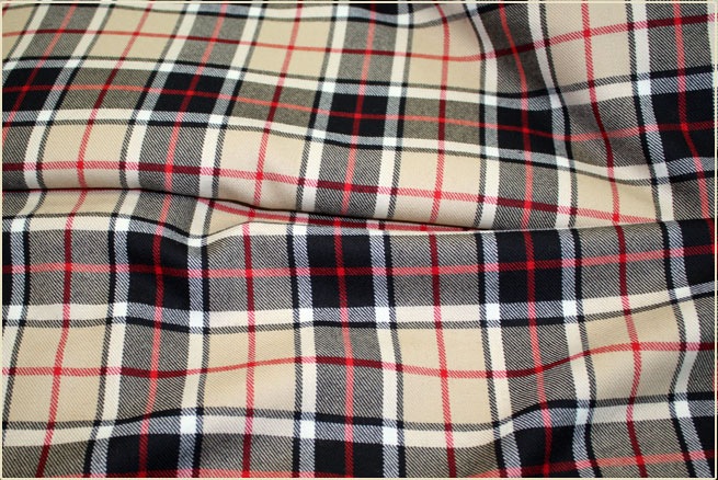 Burberry Style! 2