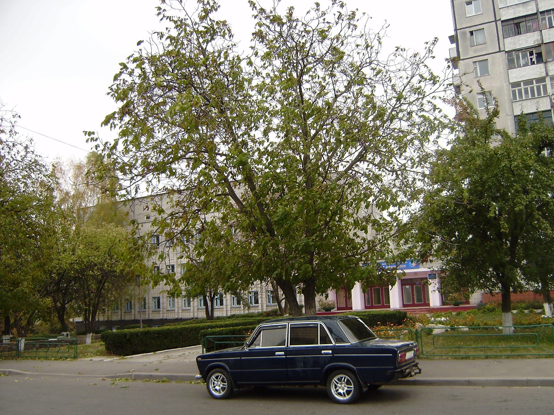 Зовнішньо (з новими колесами) 2