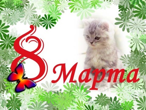 Дорогі жінки. 5