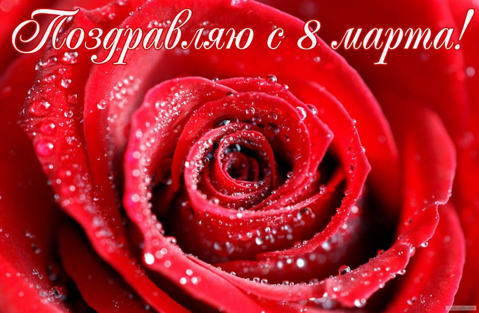 Зі святом весни 8 березня. 3