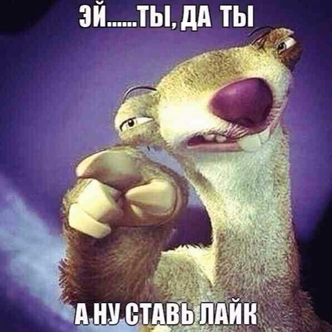 Застрахуй братуху 5