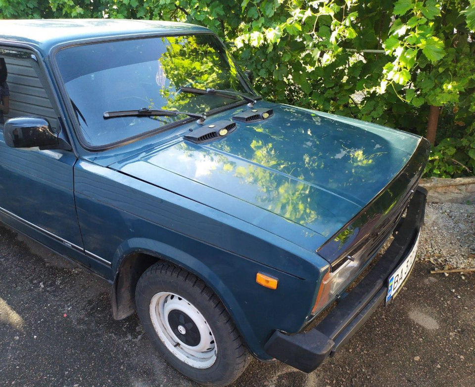 Жига продана 1