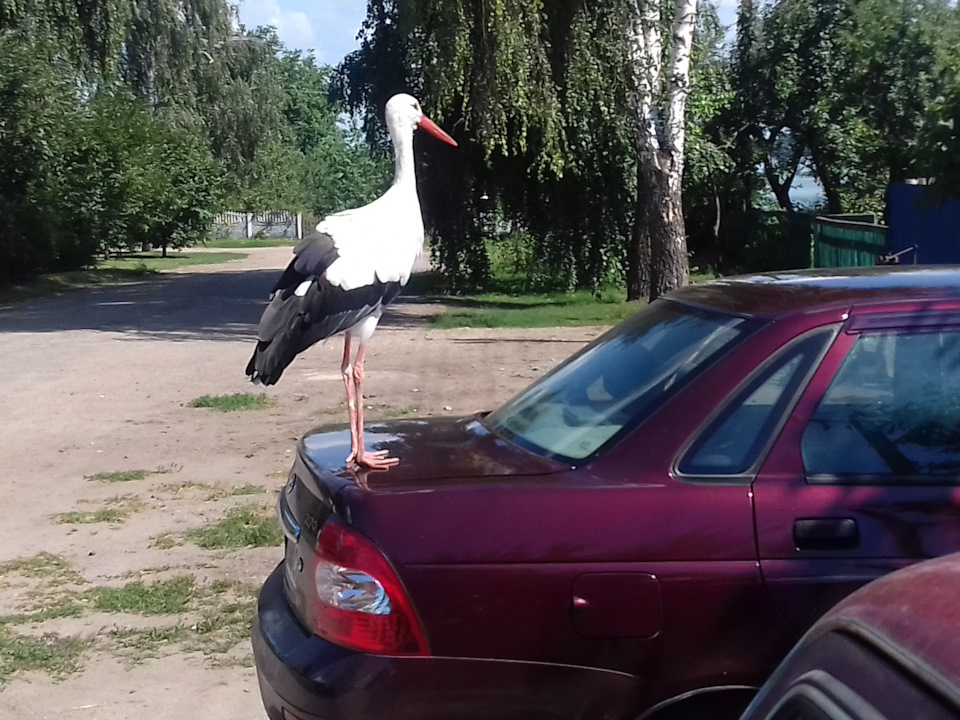 Кузовний ремонт 1 1