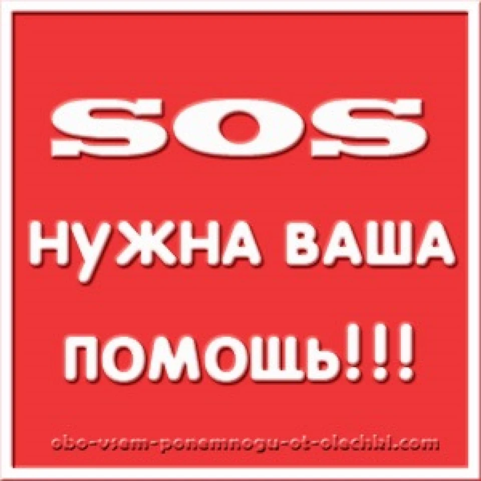 корова тобі в поміч