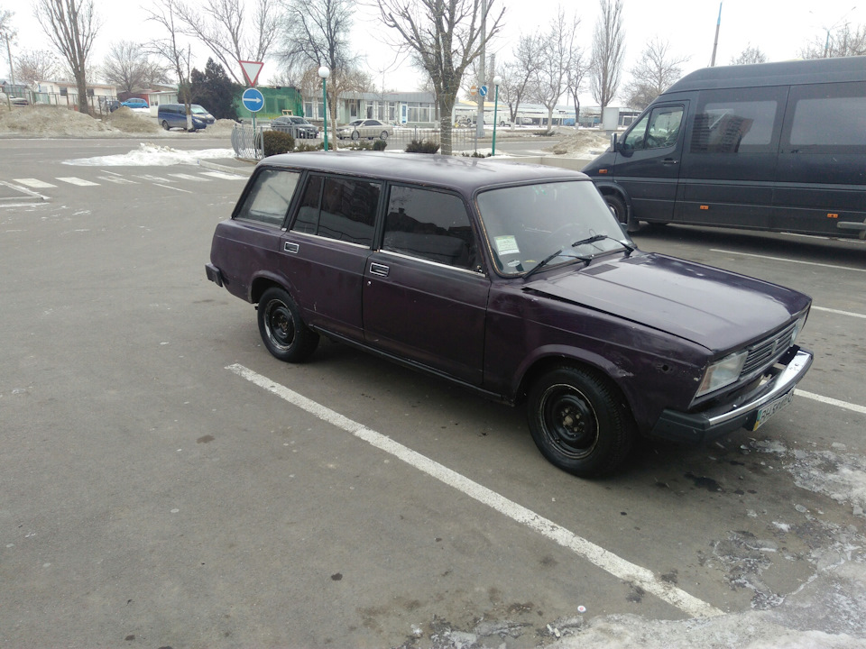 Помив ластівку 5