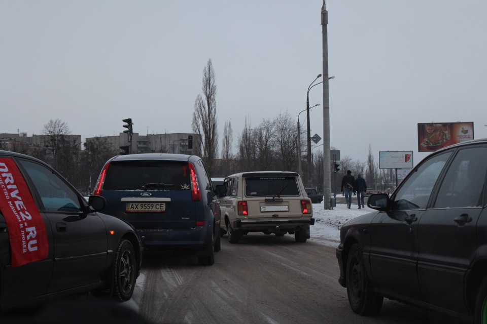 ЯЛИНКИ В ТОПКУ ЗИМОВИЙ СЛАЛОМ. 2