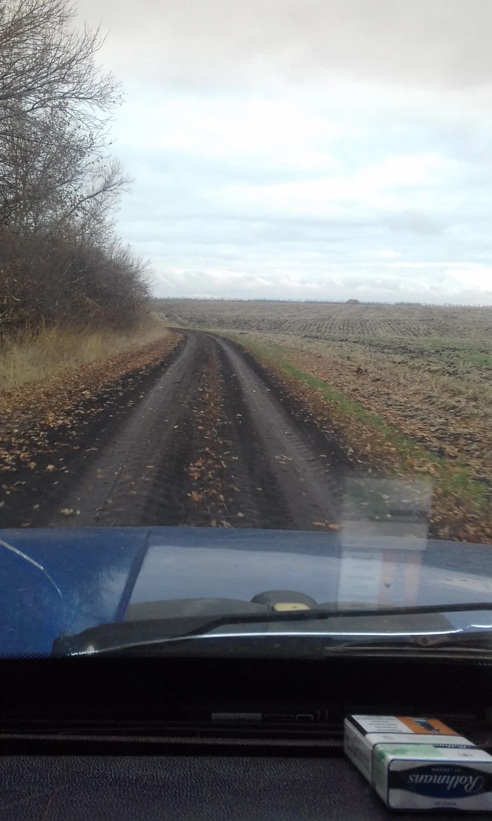 Осінній клопіт