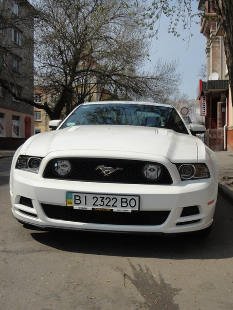 ZAZ 965 & FORD MUSTANG GT500 5