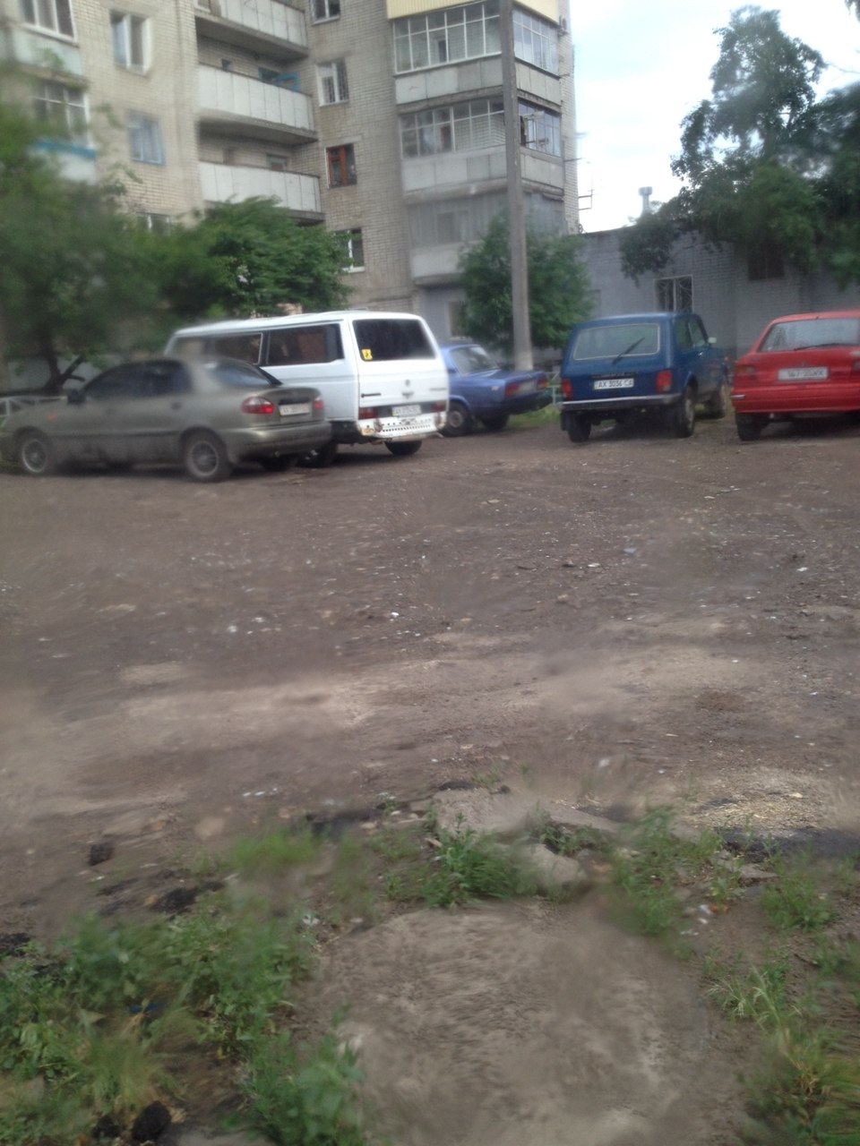 Погуляла з собакою... 1