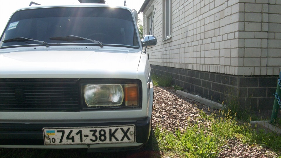 Продамся в добрі руки 1