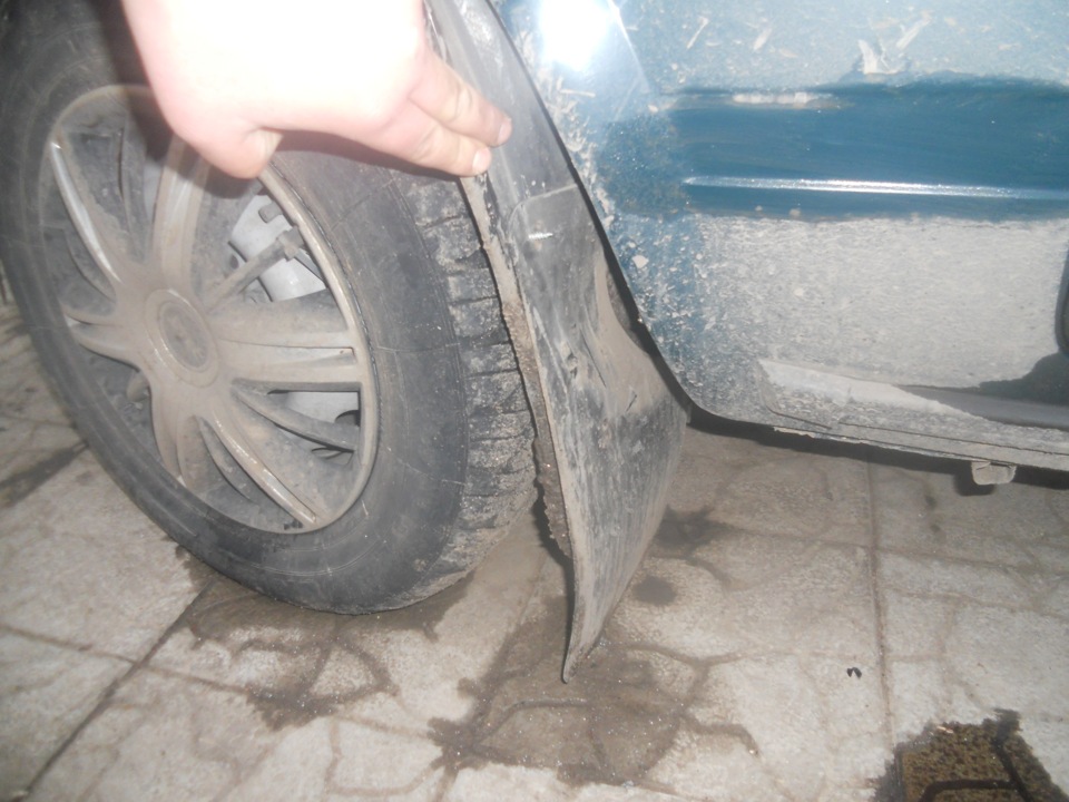 підкрильник)))) 1