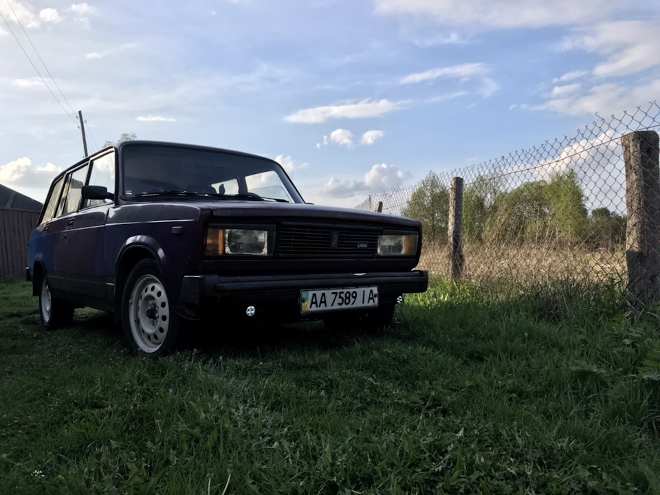 2019) 3
