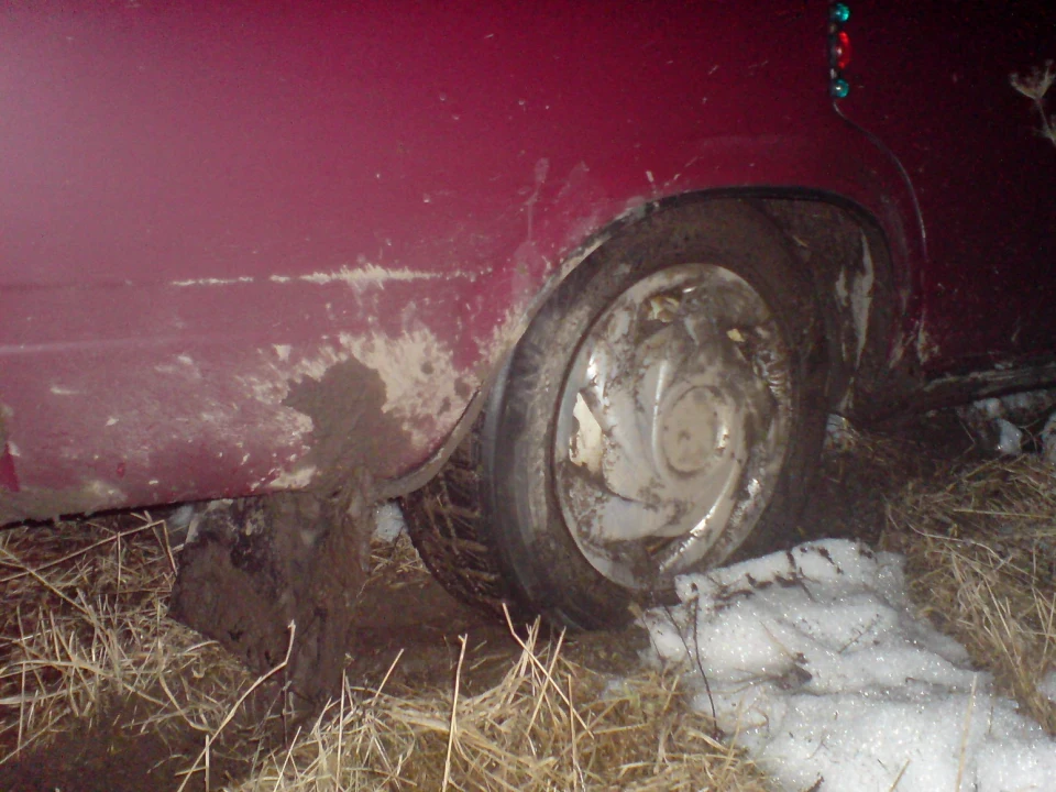 Запис, 11 лютого 2010