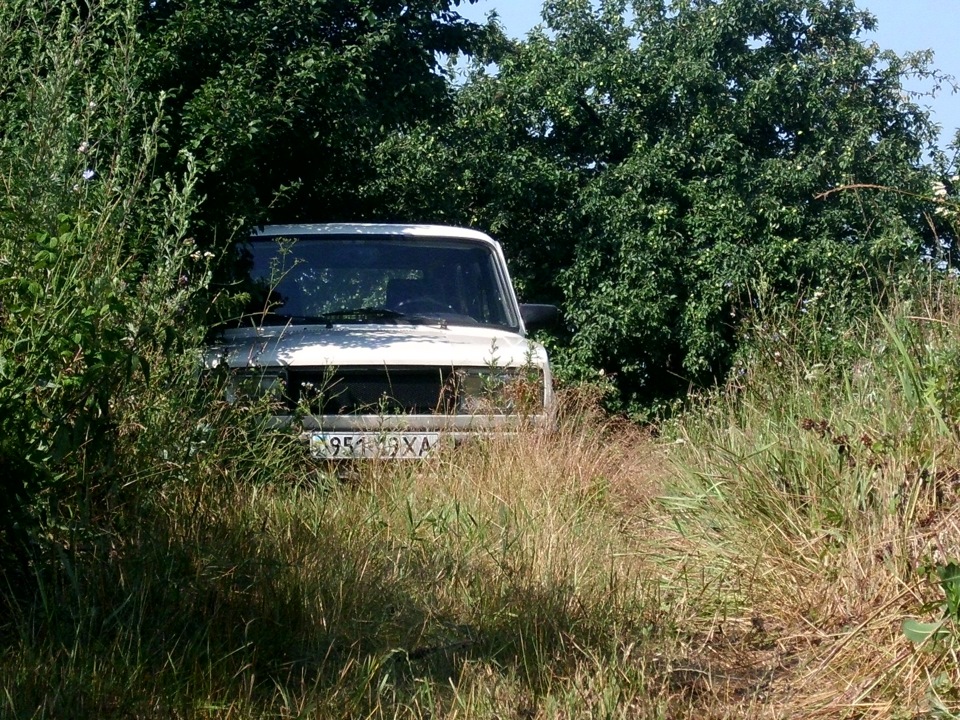 У засідці 1