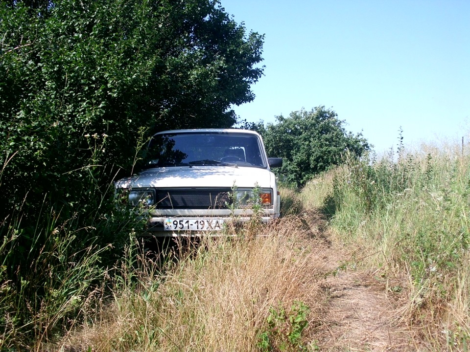 У засідці 3