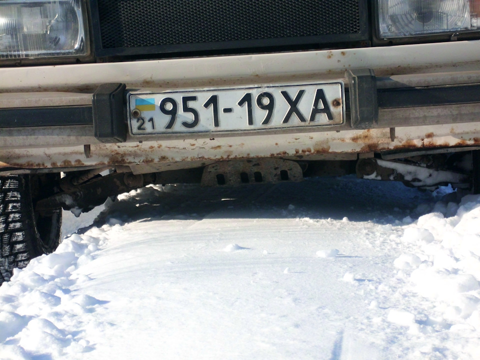 У зимовому лісі 5