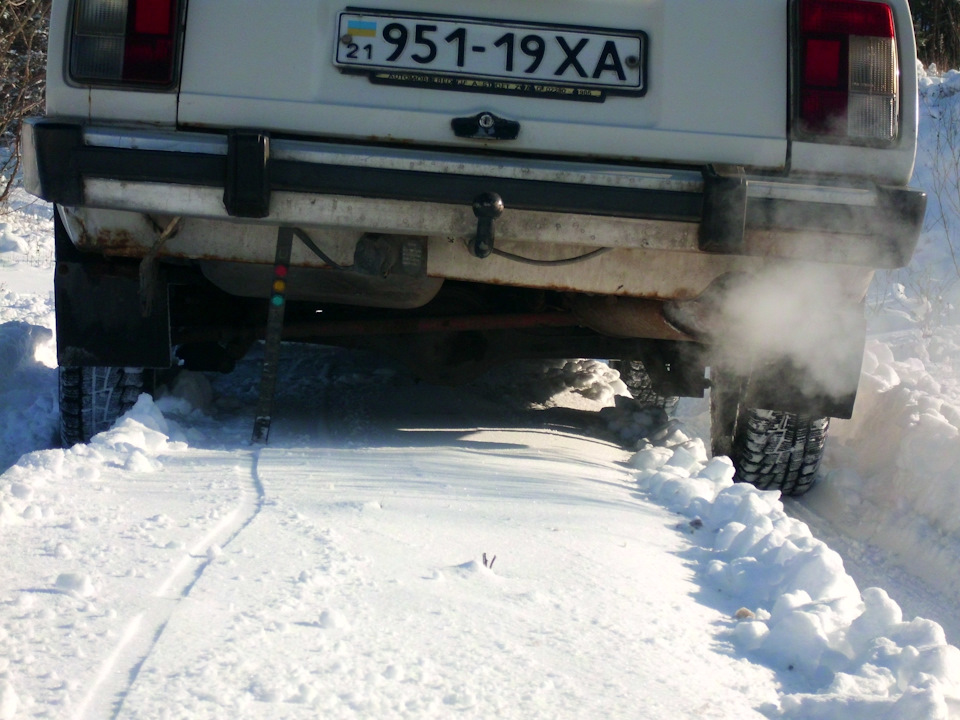 У зимовому лісі 3