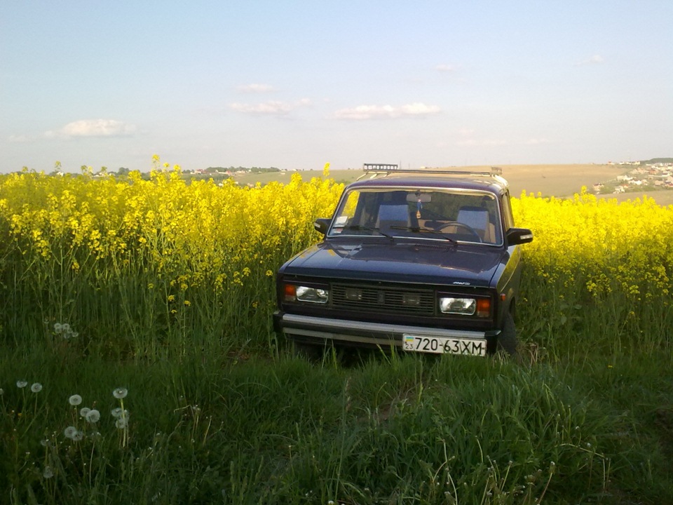 Запис, 15 червня 2011 року 1