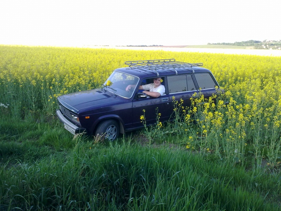 Запис, 15 червня 2011 року 5