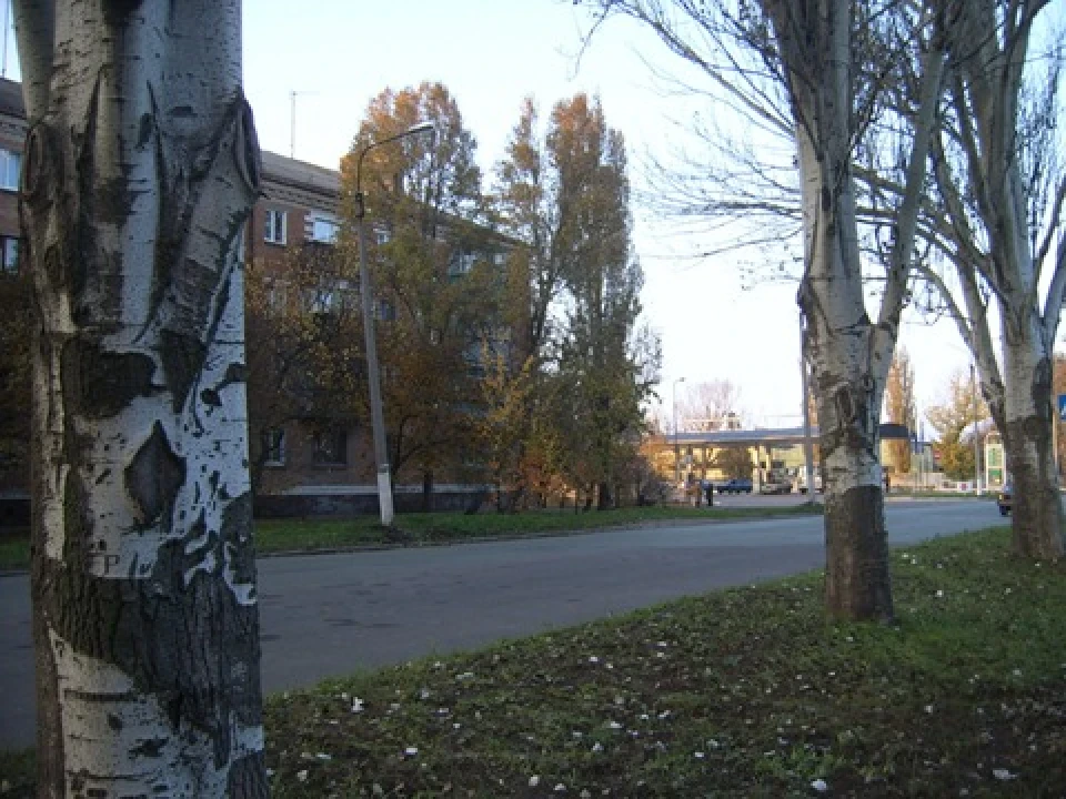 Моя перша, дурна ДТП