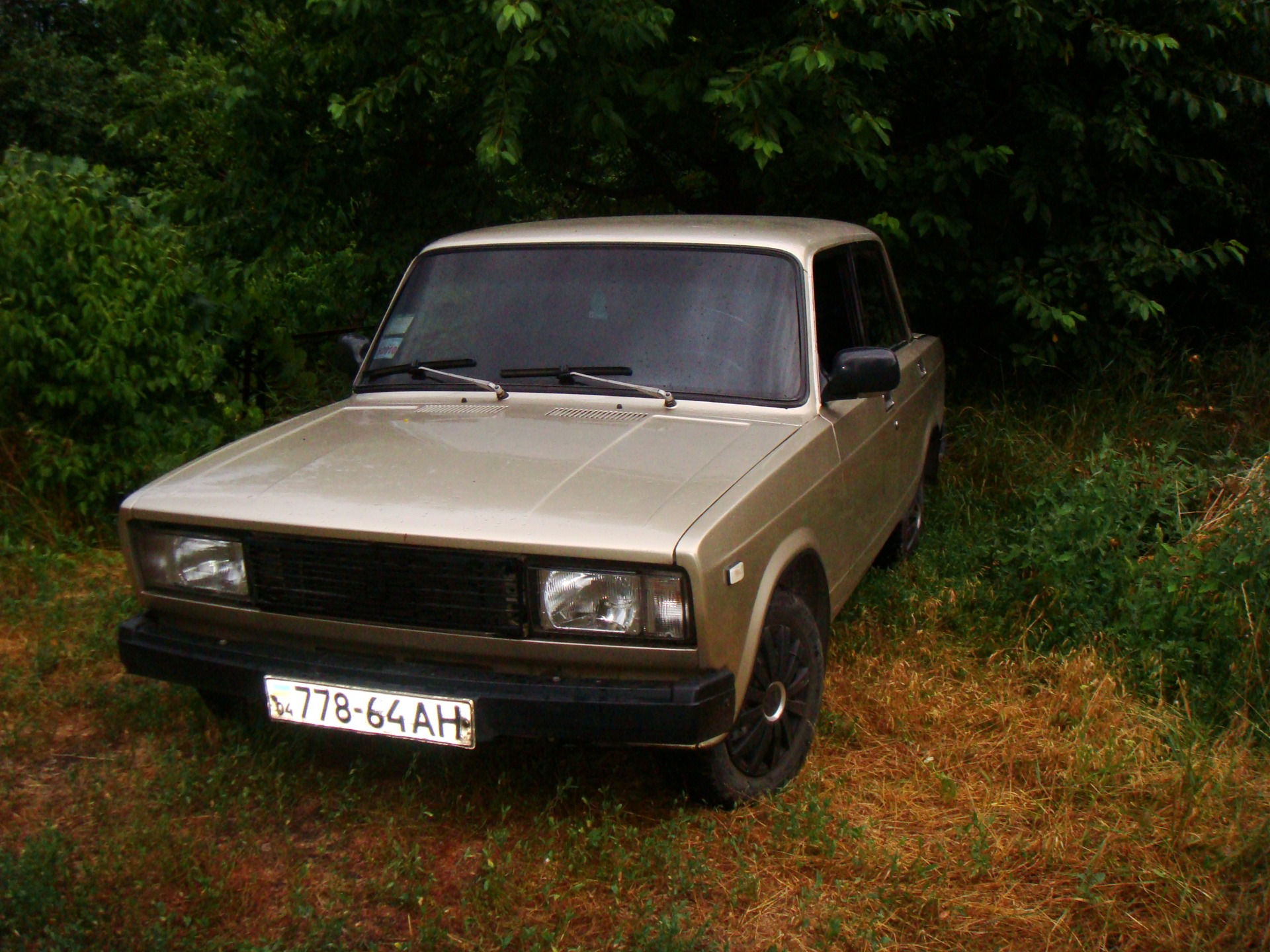 Запис, 16 січня 2011 року 2