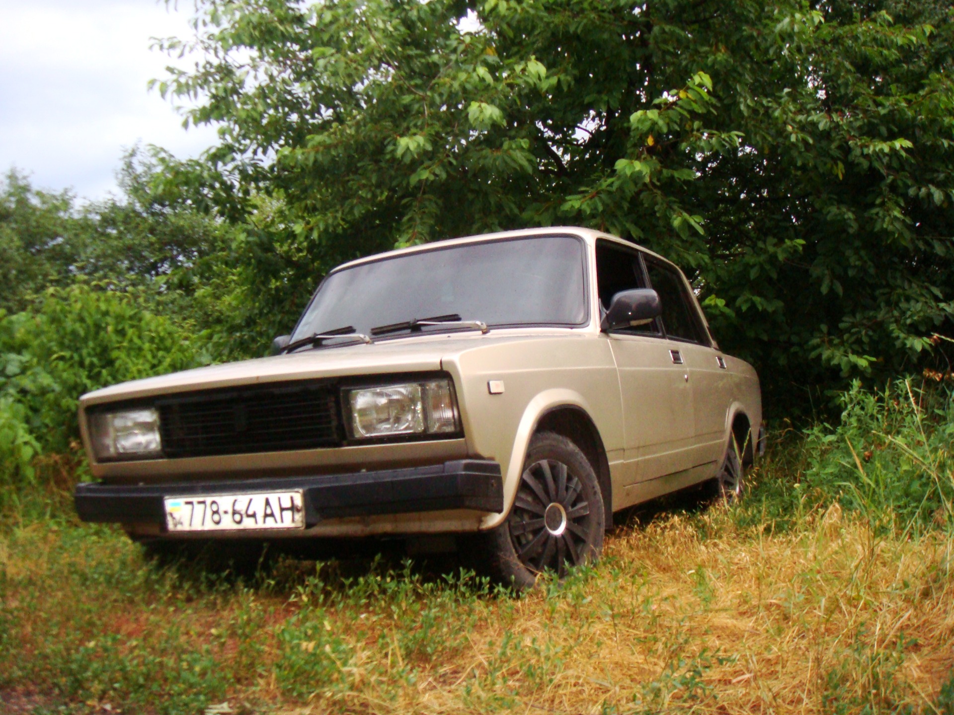 Запис, 16 січня 2011 року 3