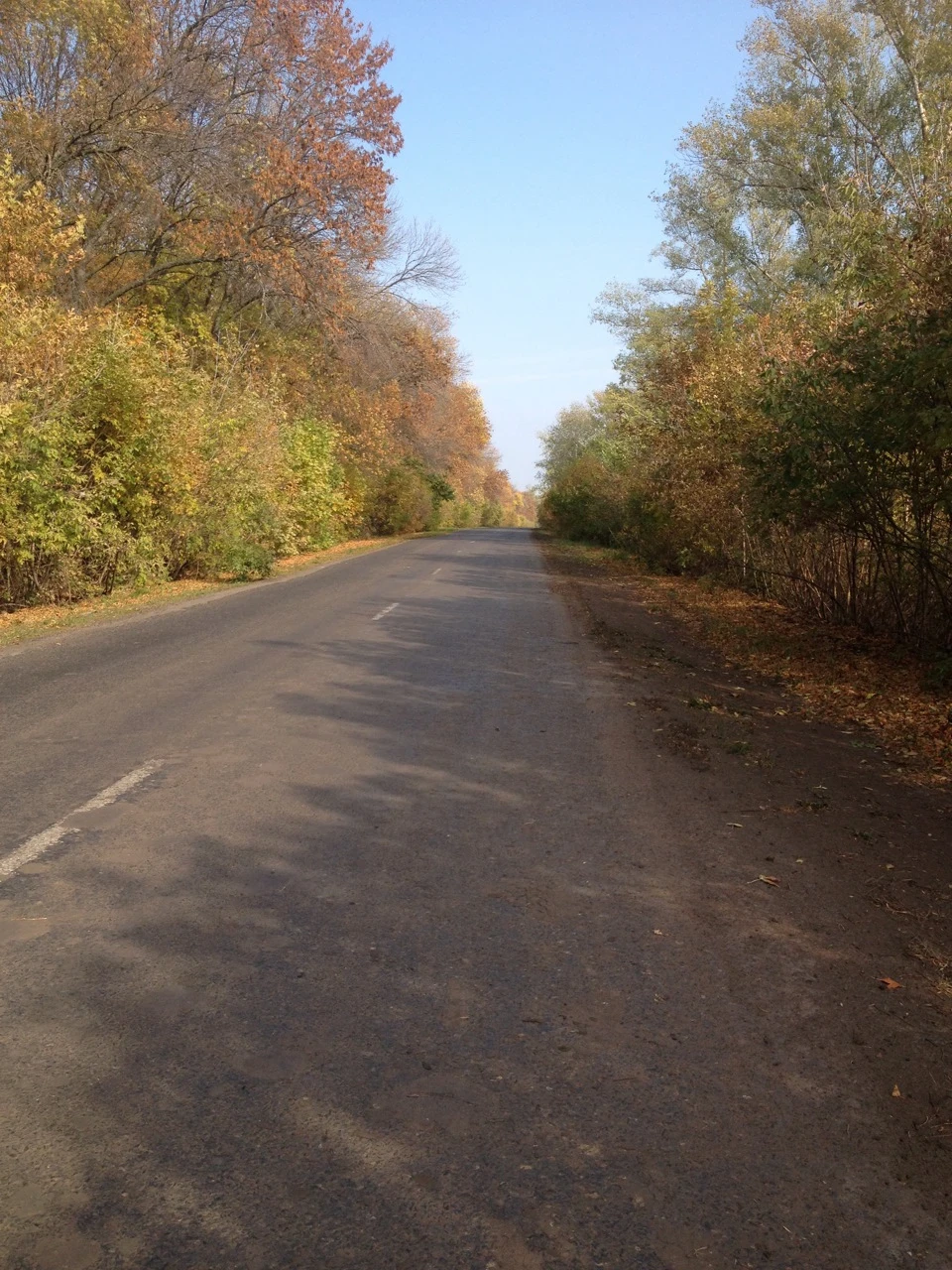 Дорога
