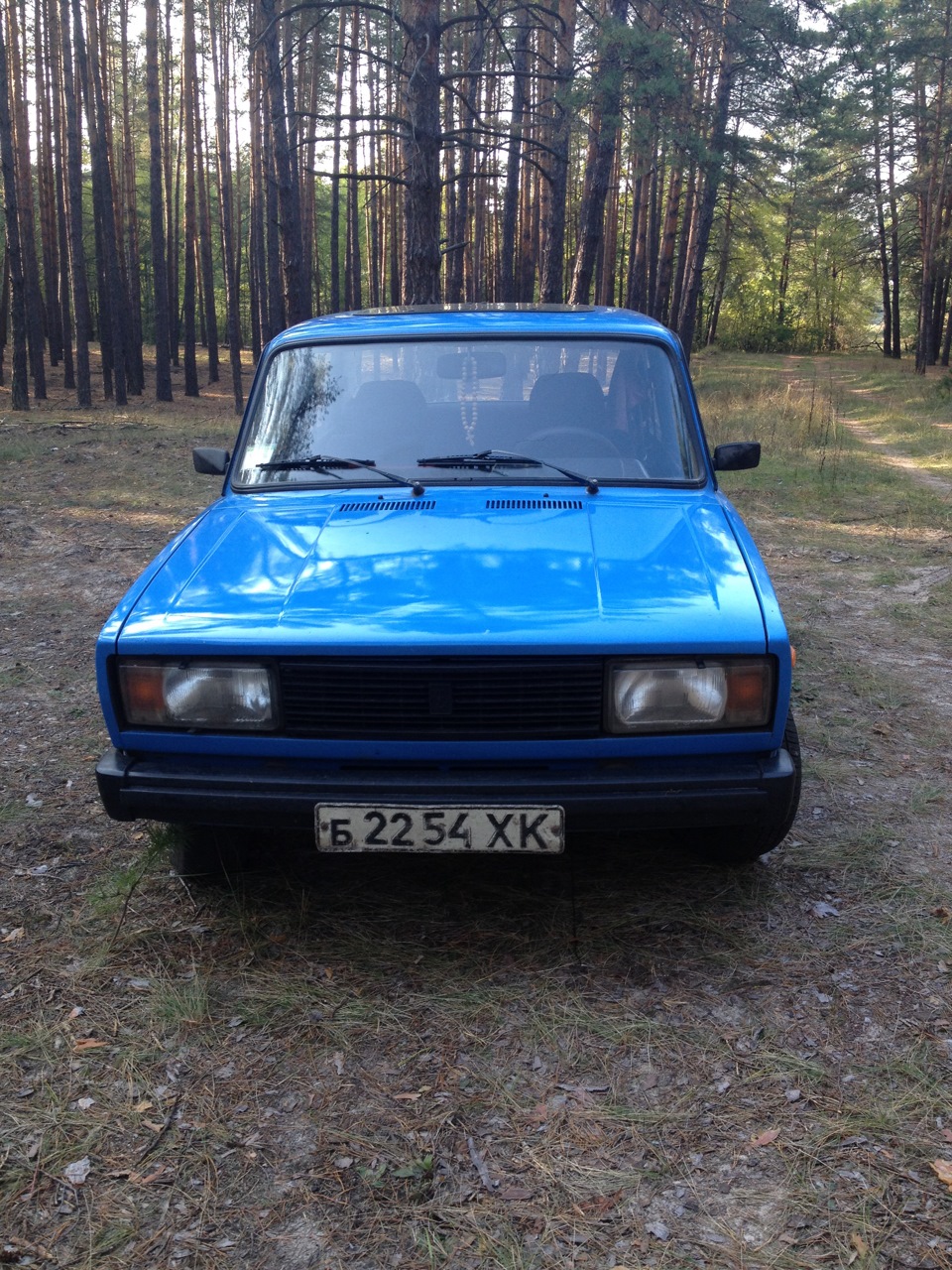 Прокатиля в ліс. 2