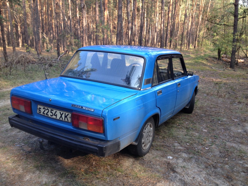Прокатиля в ліс. 3